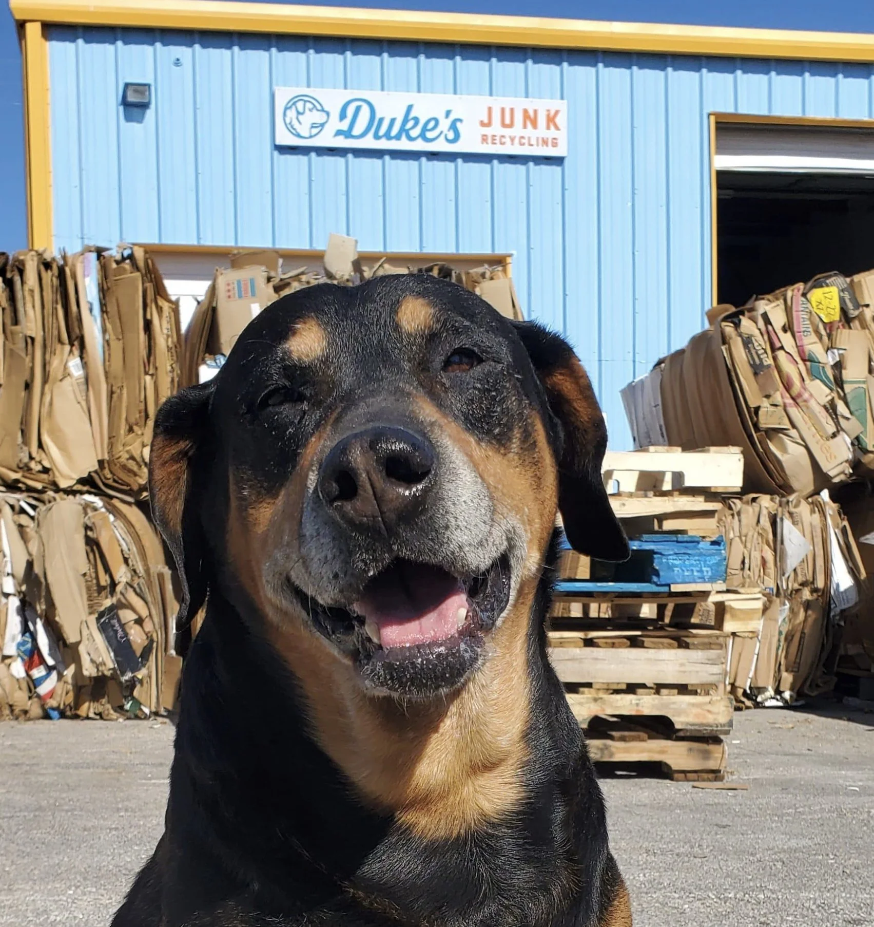 Duke's Junk Recycling drop-off yard